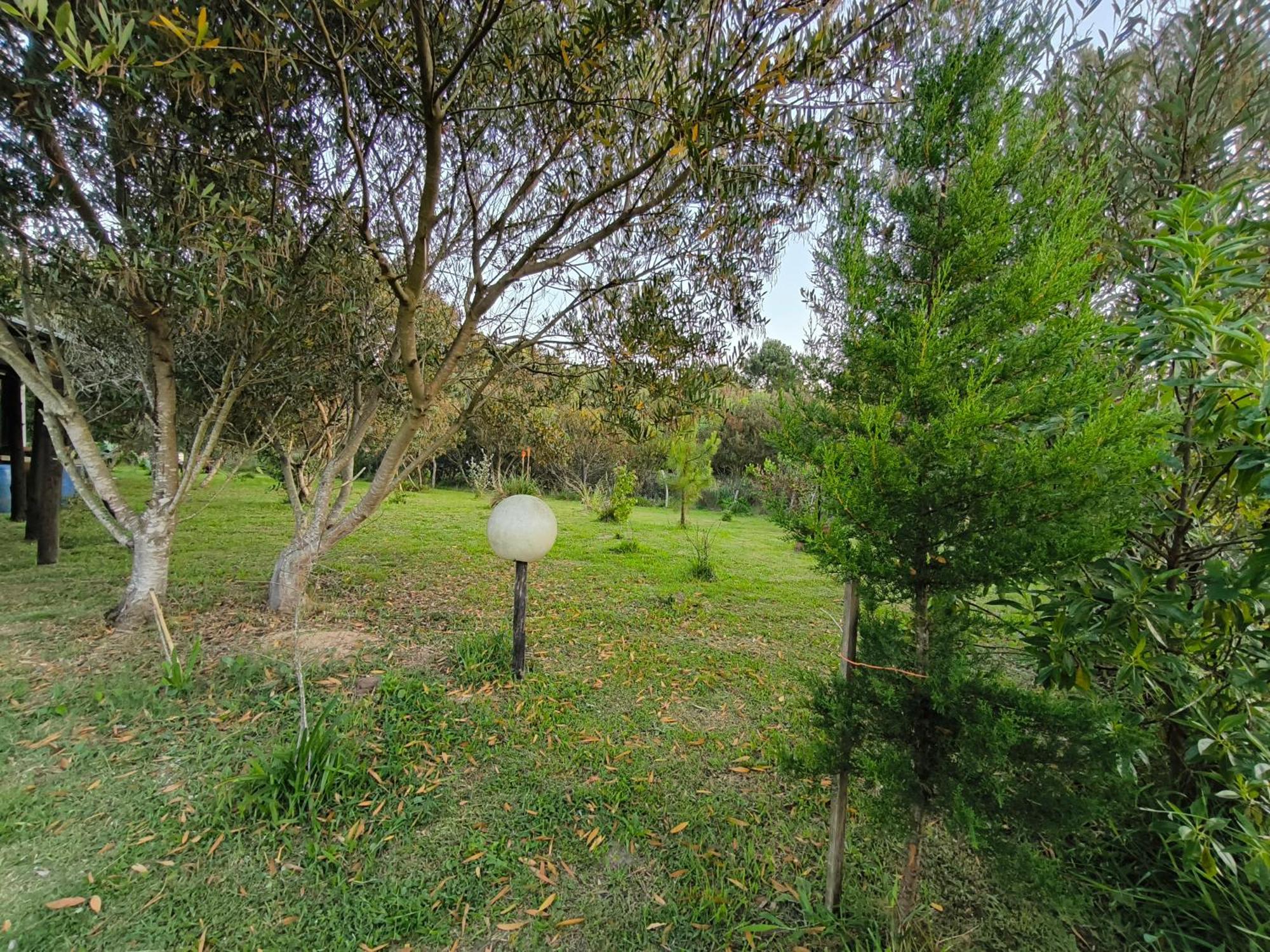 Almar Holiday home La Paloma