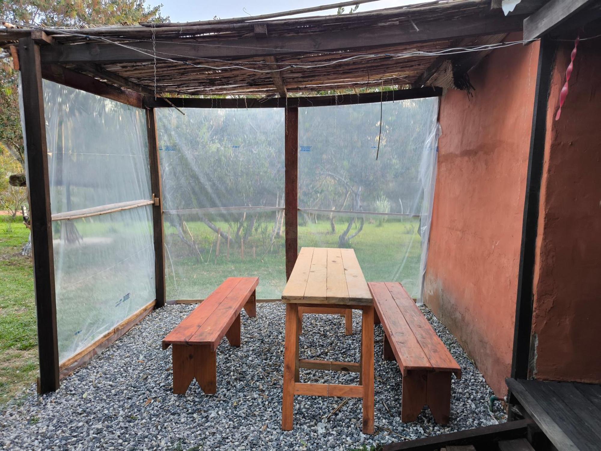 Almar * La Paloma